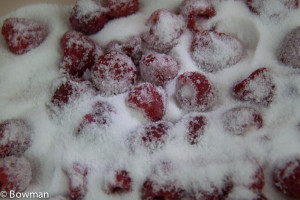 20150729 Rasberries in sugar jam_MG_1034.CR2