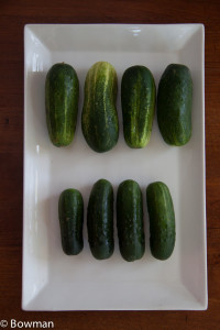 20140813 Cucumbers for soup_MG_8579