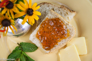 20150706 Apricot rosemary mint and red pepper jam-_MG_2571