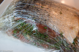 20150729 Gravlax wrapped_MG_1387.CR2