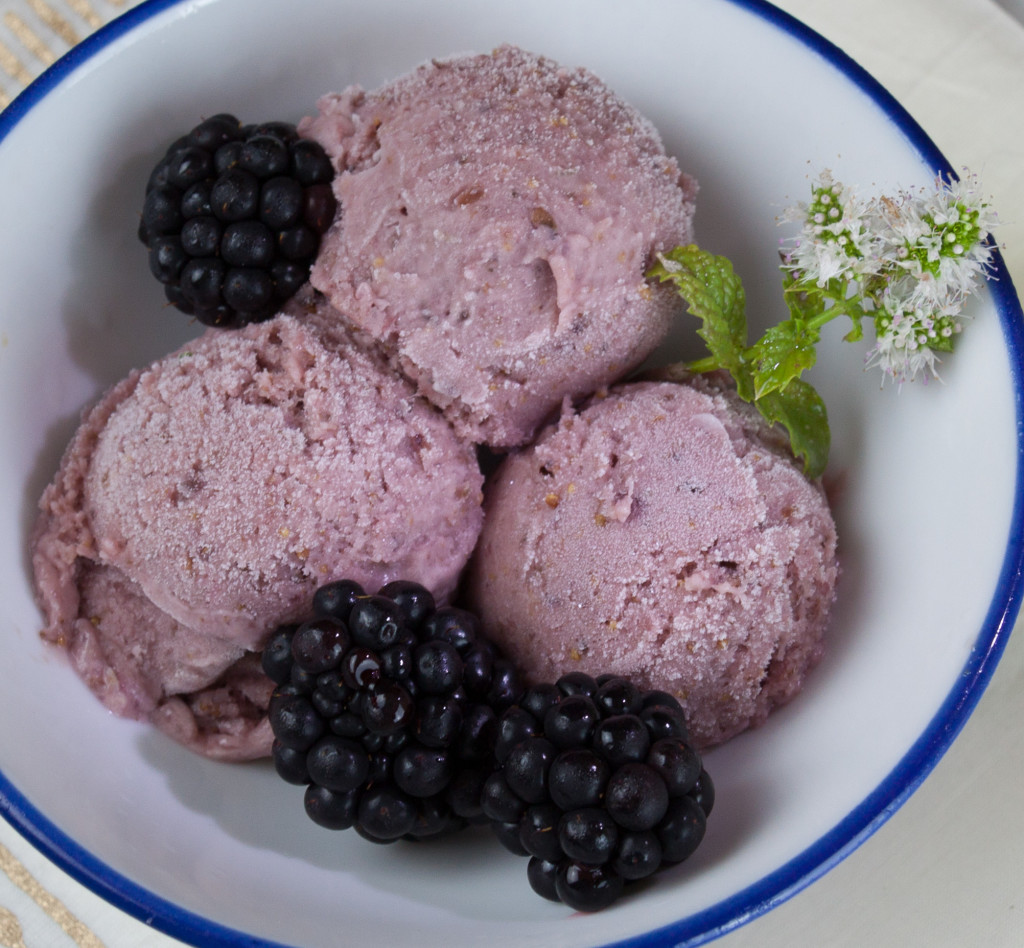 fig ice cream with blackberries_MG_2883