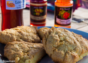 20151008-_MG_1571 Scones on Chinook -1571