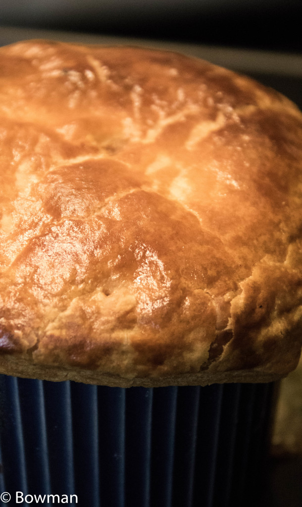 Turkey pot pie cooked