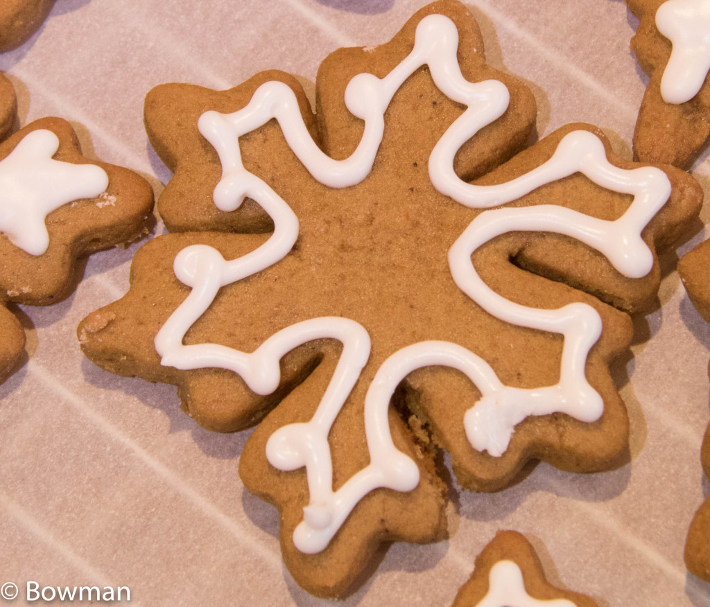 Gingerbread Snow Flake Cookies - SmallSpaceCooking