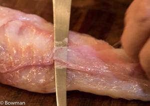 trimming monkfish use